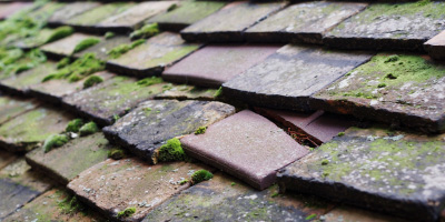 Great Braxted roof repair costs